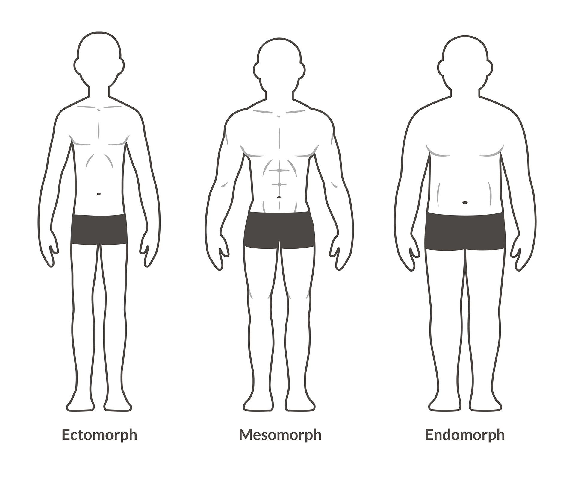 Saint Fitness Body Types